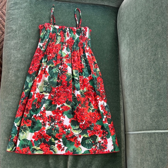 Dolce and Gabbana dress 11/12